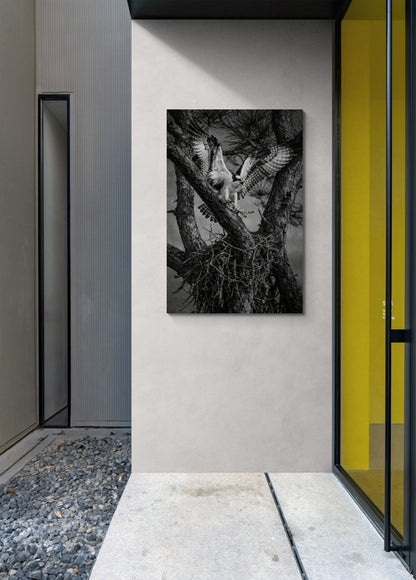 Framed artwork of an eagle in a tree on a wall in a modern interior setting.