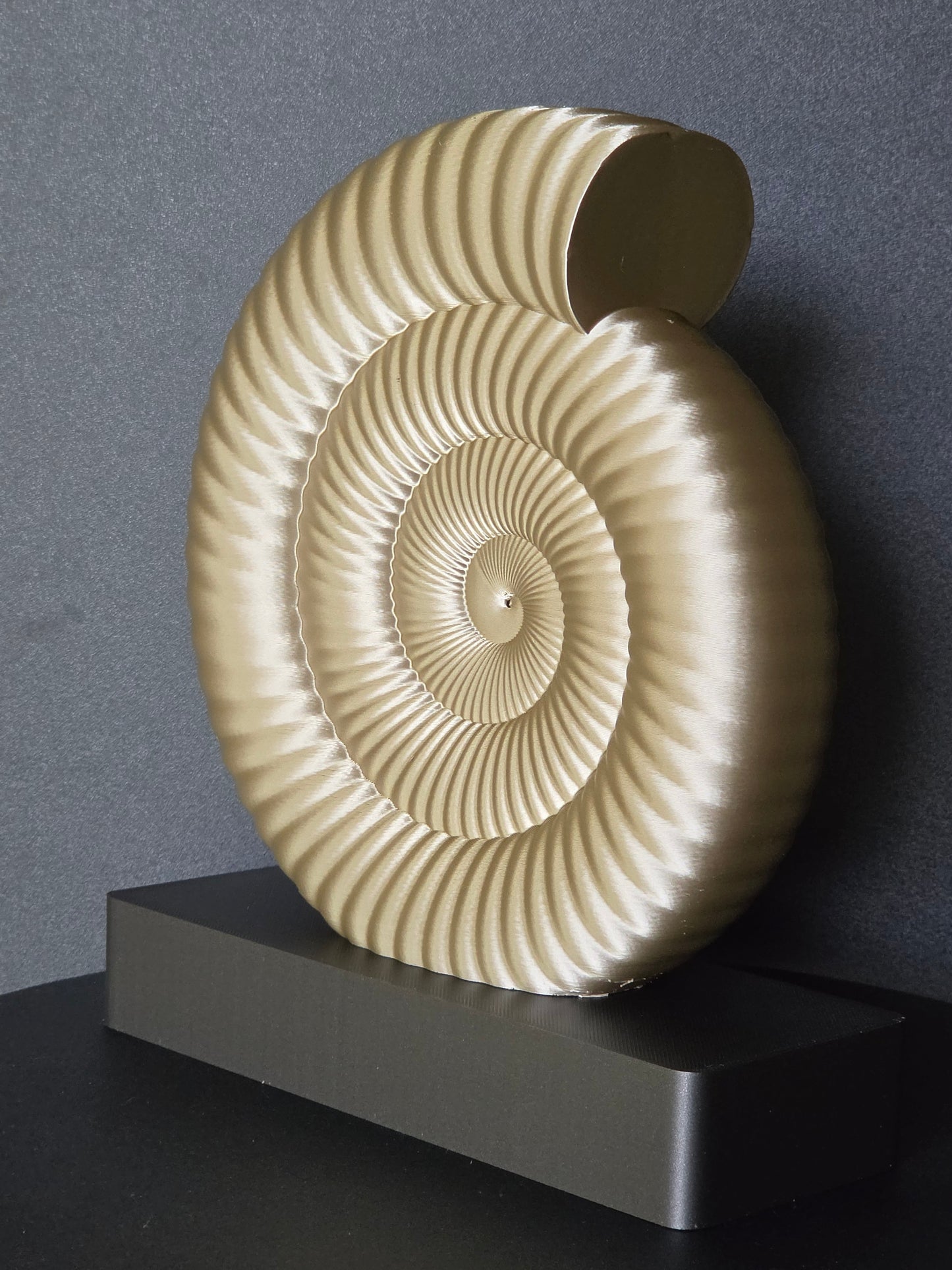Ammonite Sculpture | Contemporary Fossil-Inspired Statement Decor