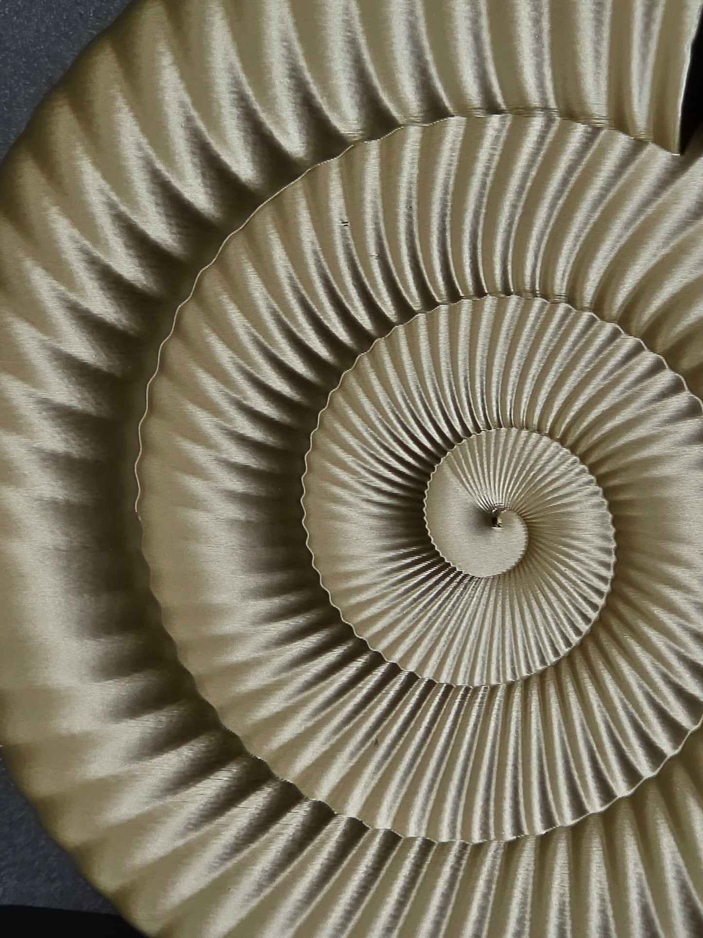 Ammonite Sculpture | Contemporary Fossil-Inspired Statement Decor