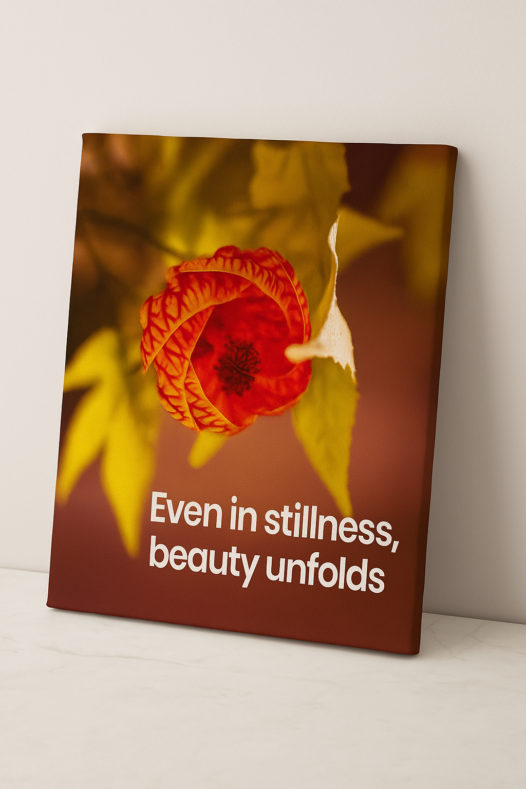 Even in Stillness – Original Photography Art Print | Chinese Lantern Flower