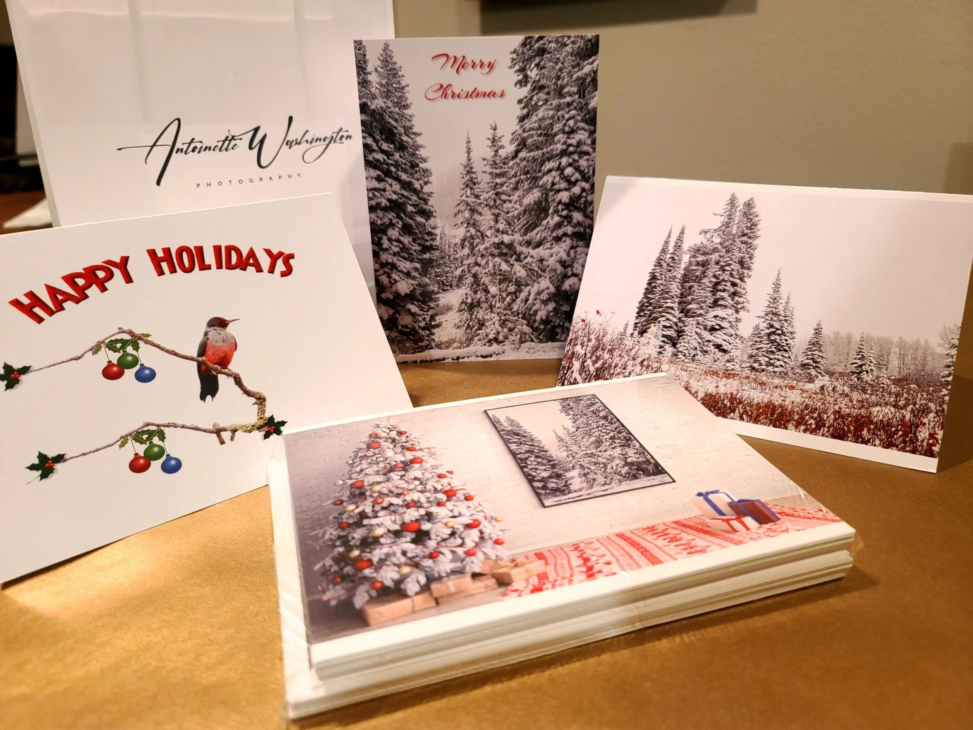 Christmas Cards 3522CVY (15pk) Antoinette Washington Photography